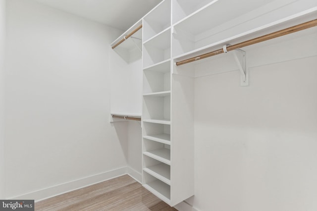 walk in closet featuring light wood-type flooring