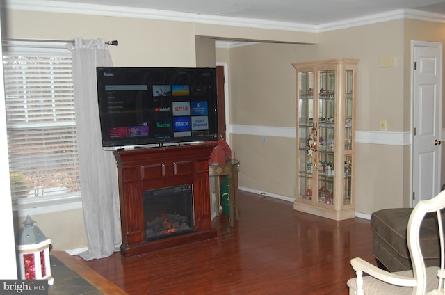 living room with dark hardwood / wood-style floors and ornamental molding