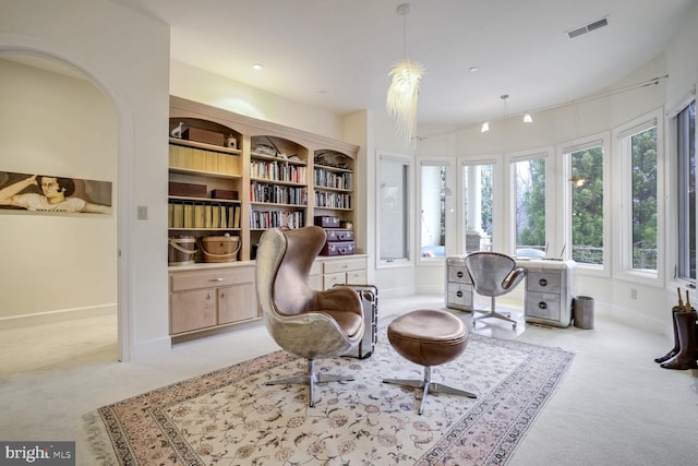 living area featuring light carpet and a wealth of natural light