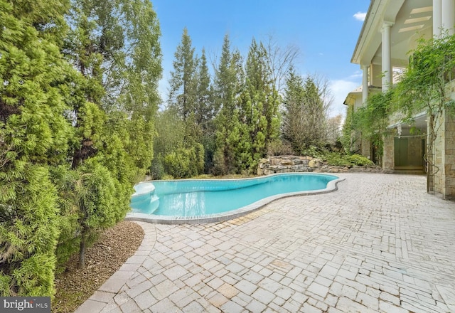 view of swimming pool featuring a patio