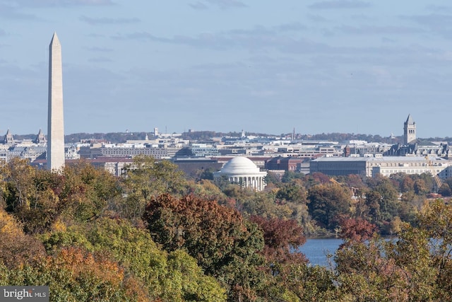 property's view of city