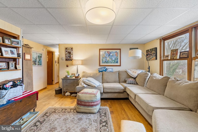 living area with a drop ceiling and light wood finished floors