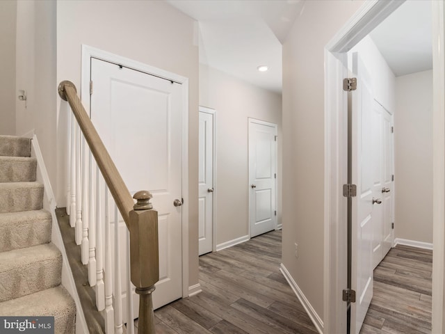 hallway featuring dark wood-type flooring