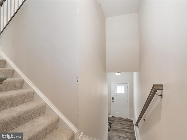 stairway featuring wood-type flooring