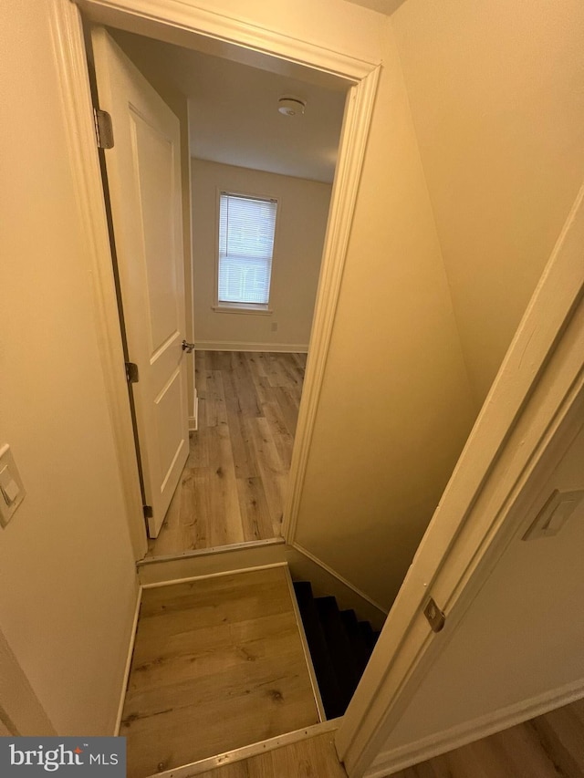 staircase featuring hardwood / wood-style flooring