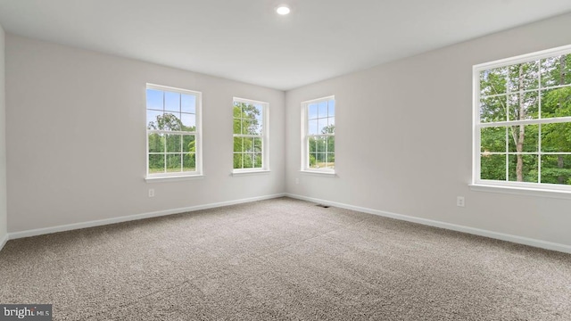 spare room with carpet