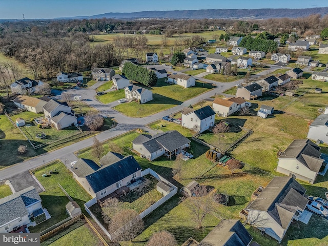 bird's eye view