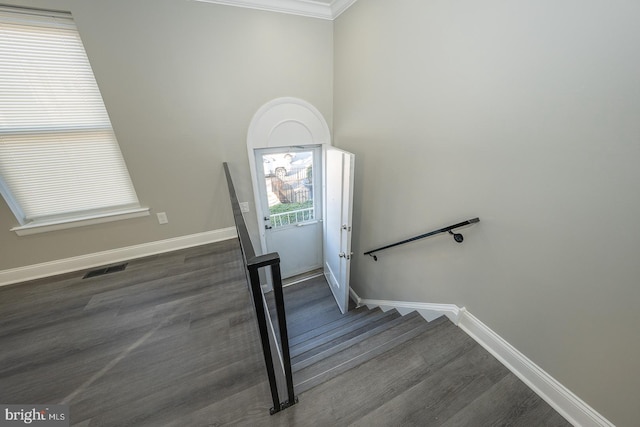 stairs featuring ornamental molding, hardwood / wood-style flooring, and a healthy amount of sunlight