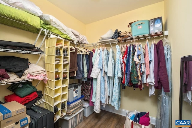 spacious closet with dark wood-type flooring