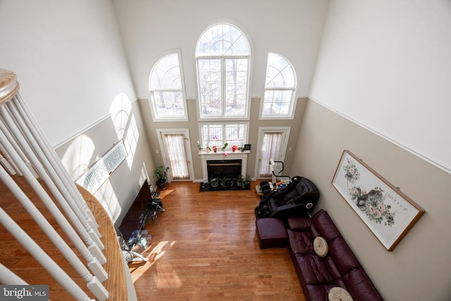 living room with wood-type flooring and a high ceiling