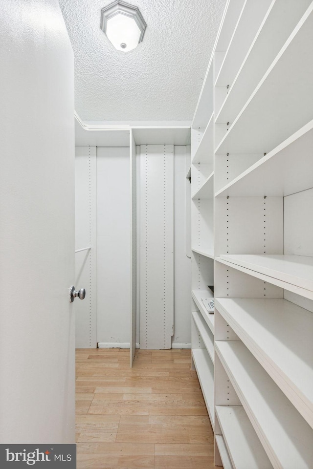 spacious closet featuring light wood-type flooring