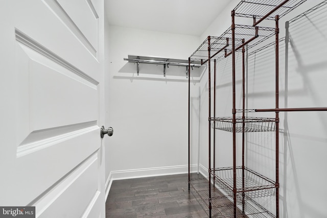 walk in closet with dark wood-type flooring