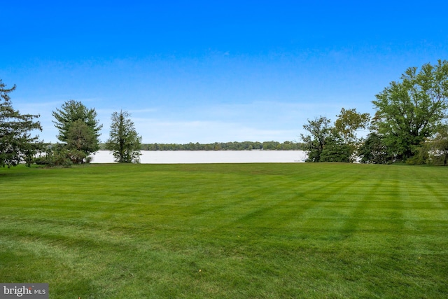 view of yard featuring a water view