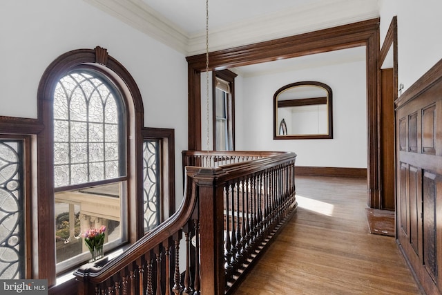 hallway featuring hardwood / wood-style flooring and ornamental molding