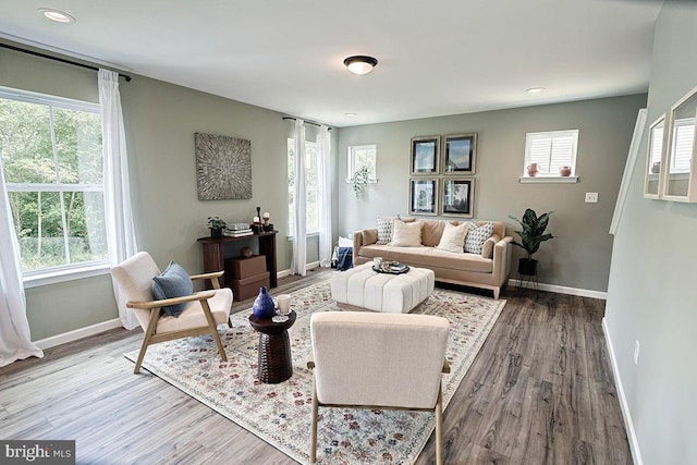 living room with hardwood / wood-style floors