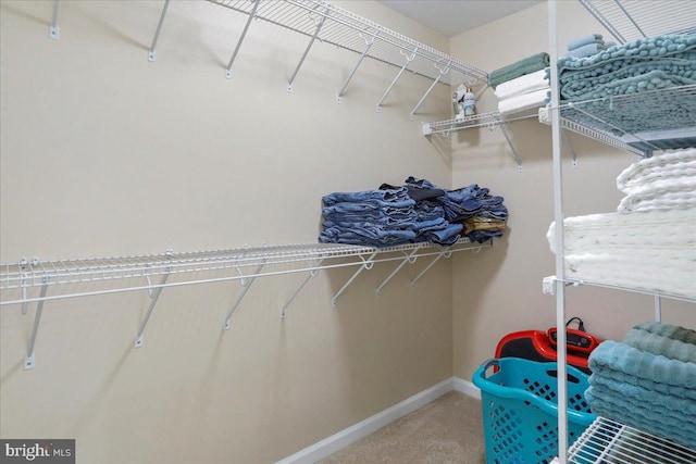 spacious closet featuring carpet floors