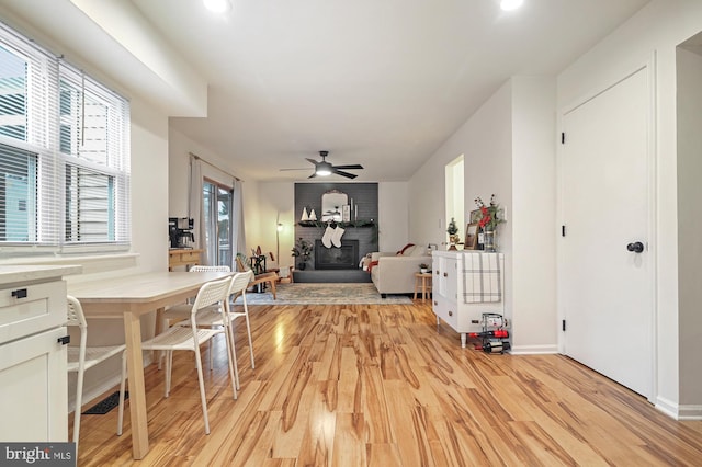 dining space with a fireplace, light wood-type flooring, and ceiling fan