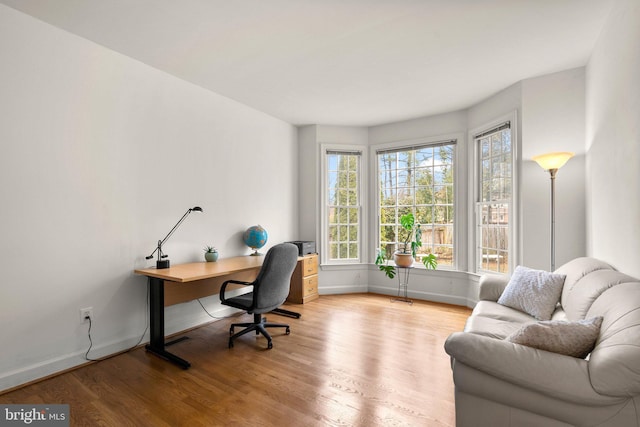 office space with baseboards and wood finished floors