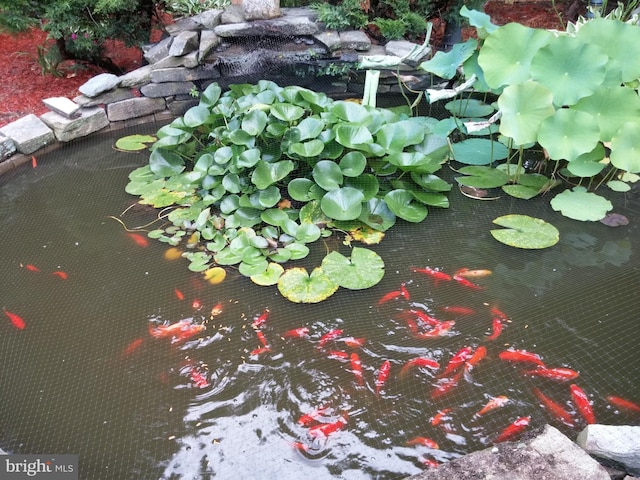 exterior details featuring a small pond