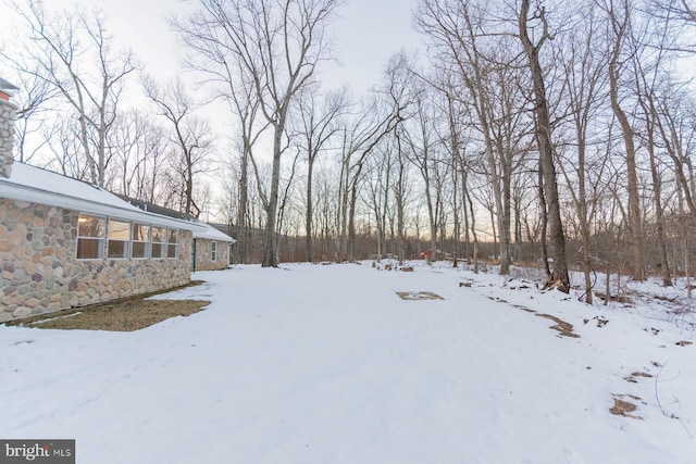 view of snowy yard