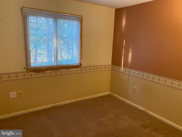 empty room with carpet and a textured ceiling