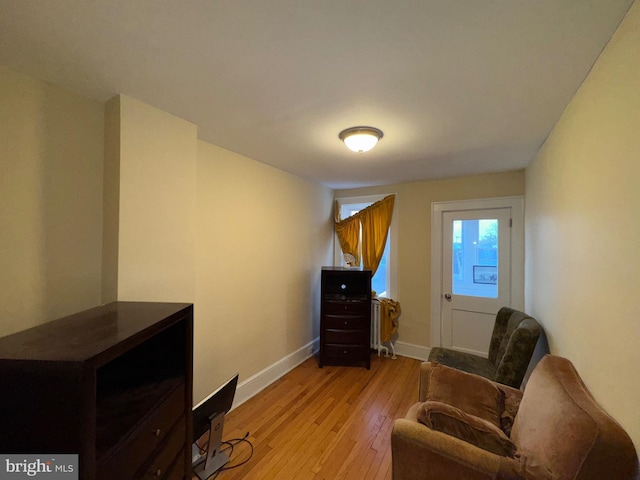 living area featuring light wood-type flooring