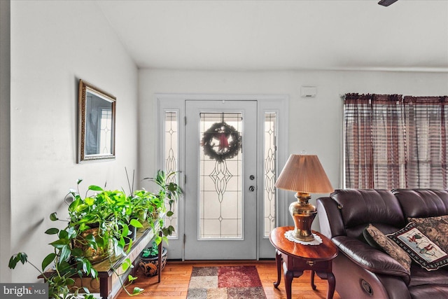 foyer featuring wood-type flooring and a wealth of natural light