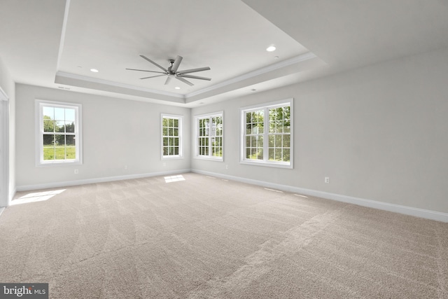 carpeted empty room with ceiling fan, a raised ceiling, and ornamental molding