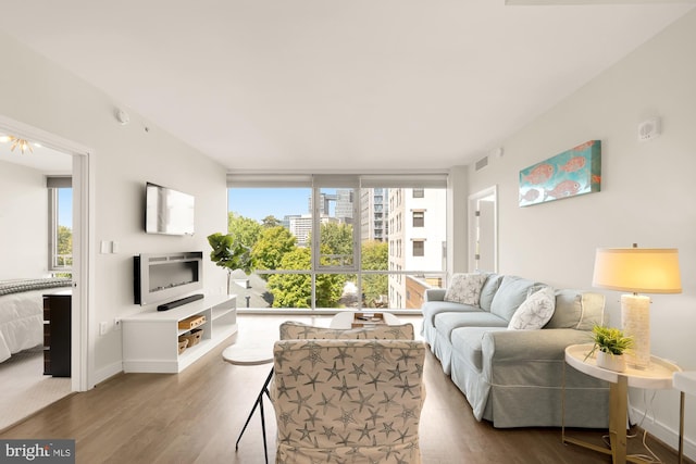 living room with a wealth of natural light, floor to ceiling windows, and wood-type flooring