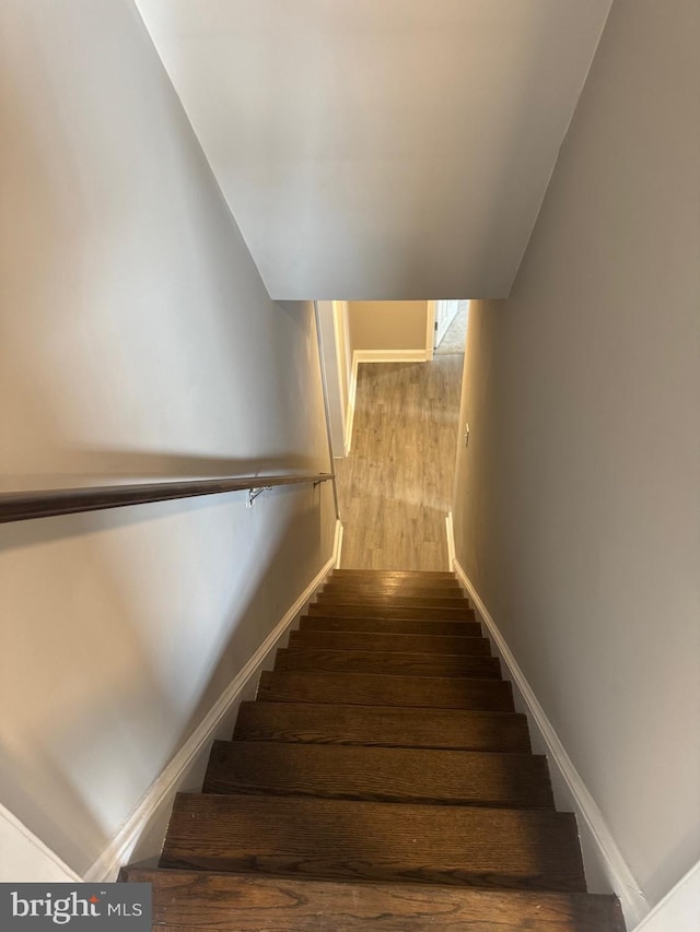 stairway featuring wood-type flooring