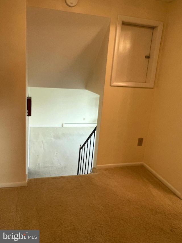 staircase with carpet flooring