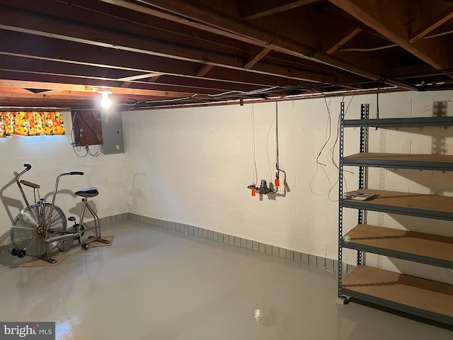 basement featuring electric panel