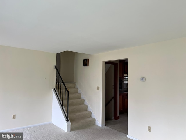 staircase featuring carpet