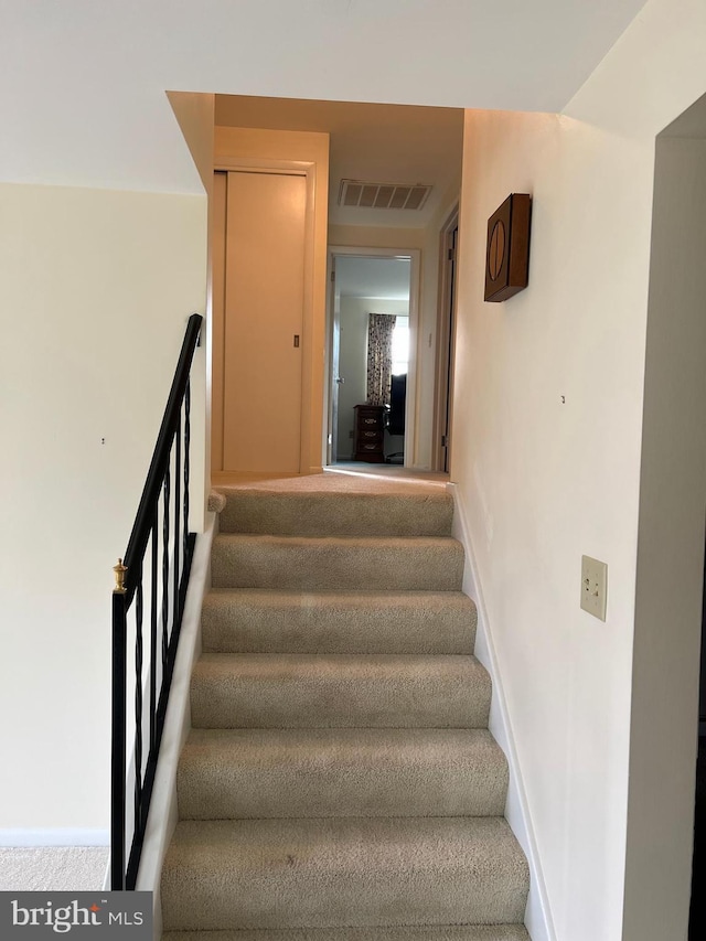 staircase featuring carpet floors