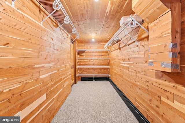 walk in closet with carpet floors