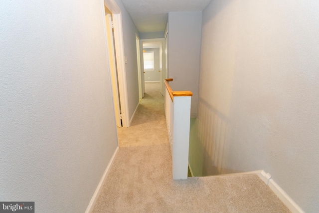 corridor with light colored carpet