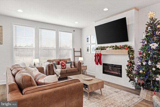 living room with hardwood / wood-style floors