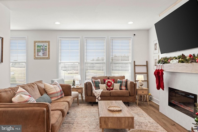 living room with light wood-type flooring