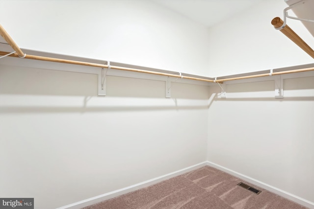 spacious closet featuring carpet floors