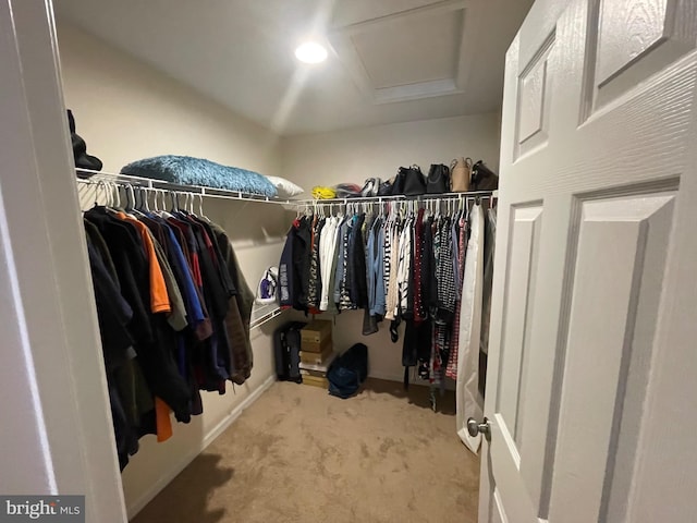 walk in closet featuring light colored carpet