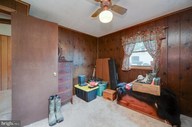 misc room with carpet floors and wooden walls