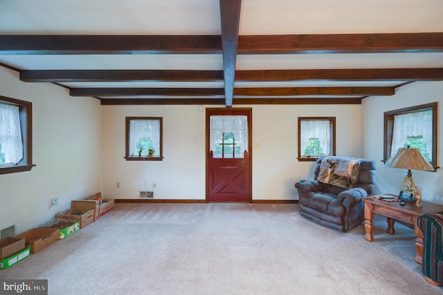 82 Quarry Rd, Birdsboro, PA 19508 - carpeted living room with beamed ceiling