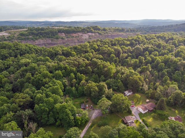82 Quarry Rd, Birdsboro, PA 19508 - bird's eye view of a heavily wooded area