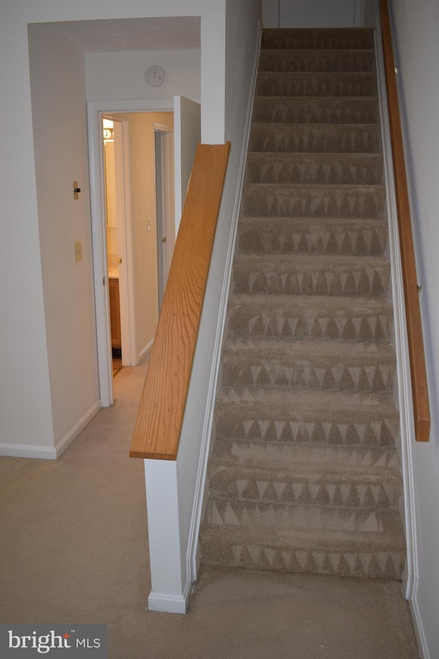 staircase featuring carpet floors