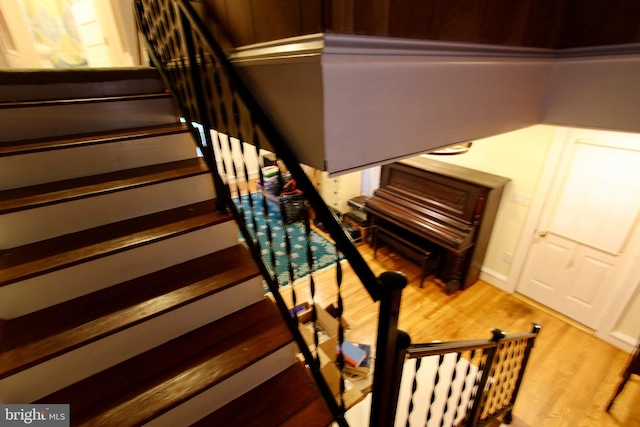 staircase with wood-type flooring