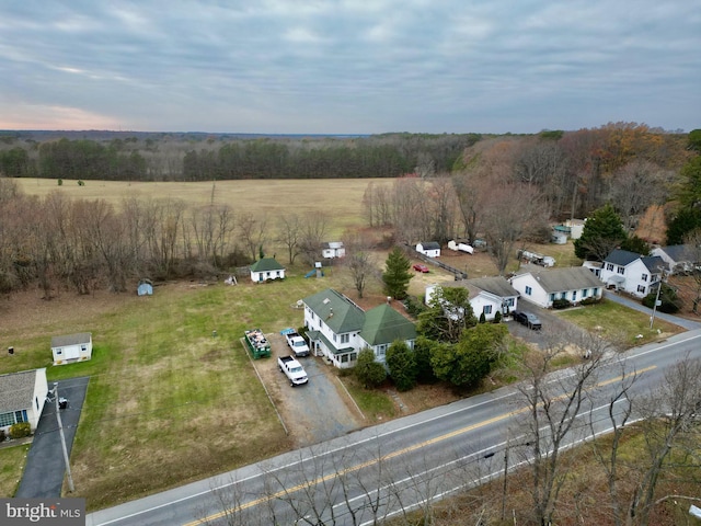 bird's eye view