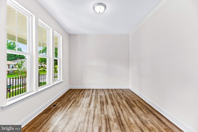 empty room featuring wood-type flooring