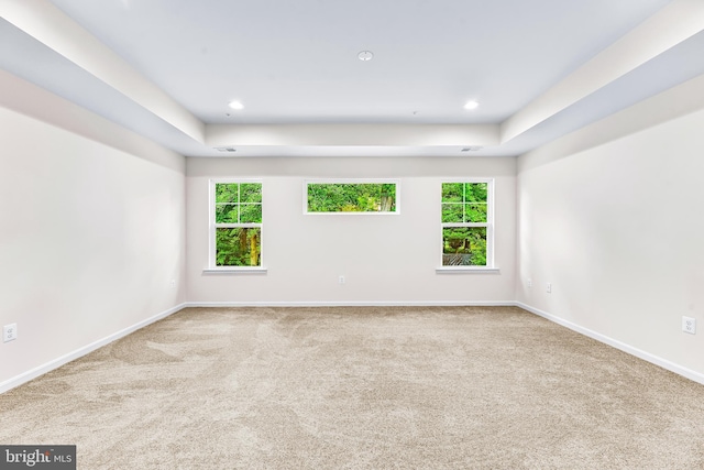 carpeted spare room featuring a raised ceiling and plenty of natural light