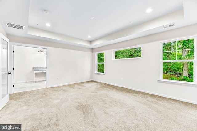 carpeted spare room featuring a tray ceiling