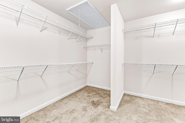 walk in closet featuring light carpet